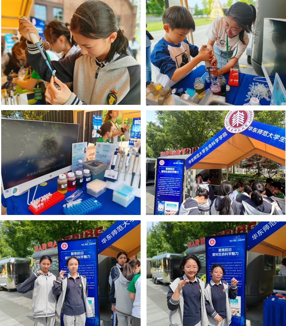 图片3.jpg