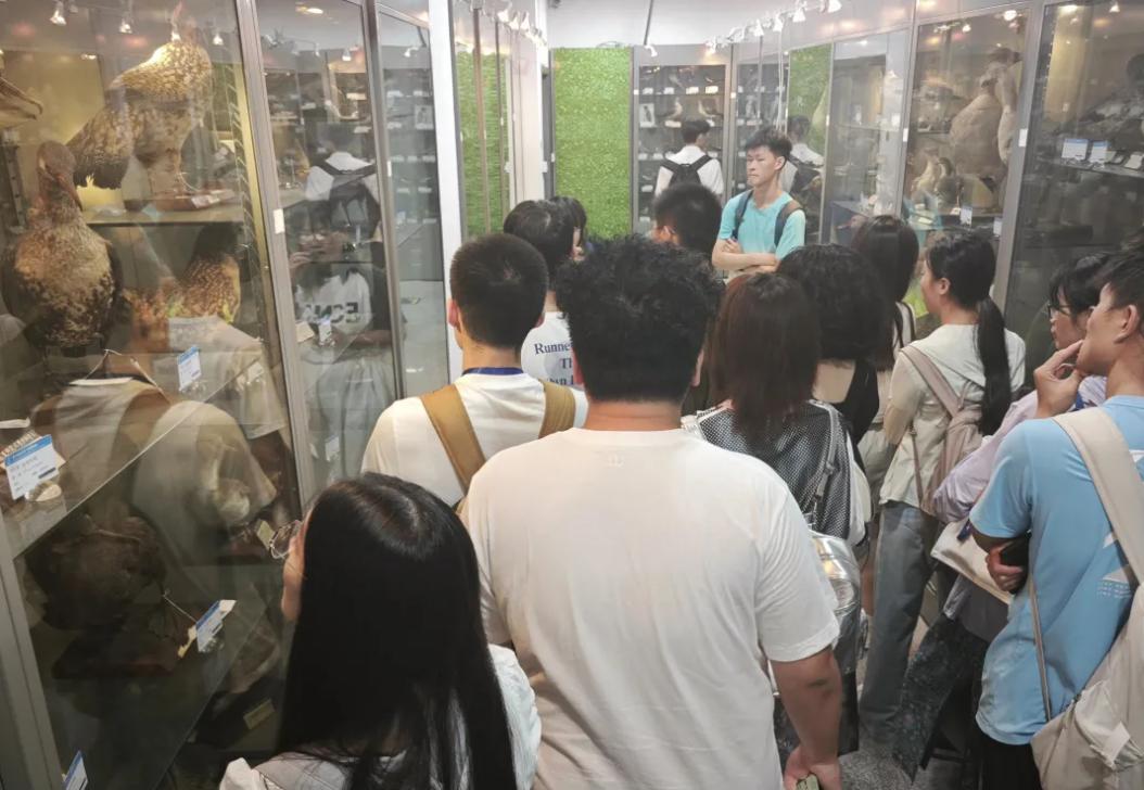 图片13.jpg